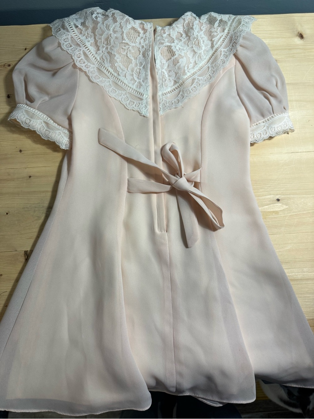 JESSICA MCCLINTOCK Delicate Blush Lace Collar Dress - Picture 6 of 10